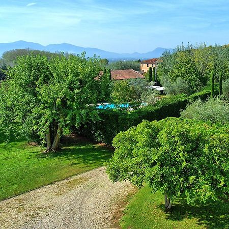 Villa Fiamma By Posarellivillas Piaggiori Экстерьер фото